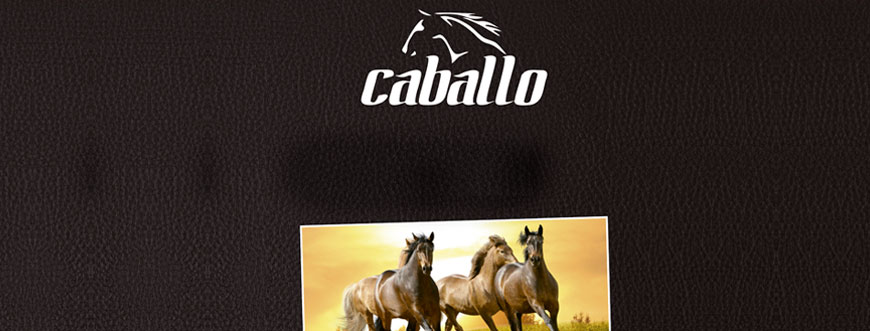  Caballo 